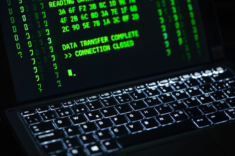 Podatność w bibliotece jansi: Heap Buffer Overflow - Ataki Hakerskie